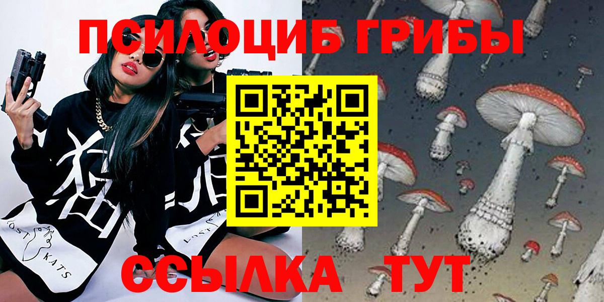 Камышин  Псилоцибиновые грибы Psilocybine cubensis  Вход с VPN 